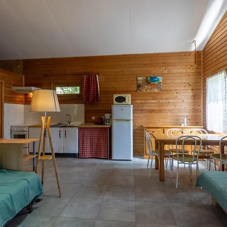 - Piscine Partagée Darbres