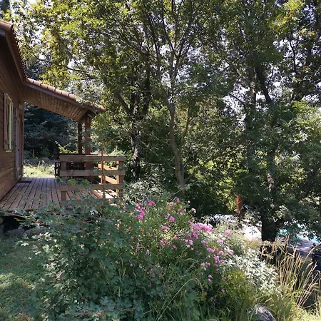 - Piscine Partagée Chalet Darbres